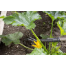 Рыхлитель GARDENA NATURELINE 17108-20.000.00